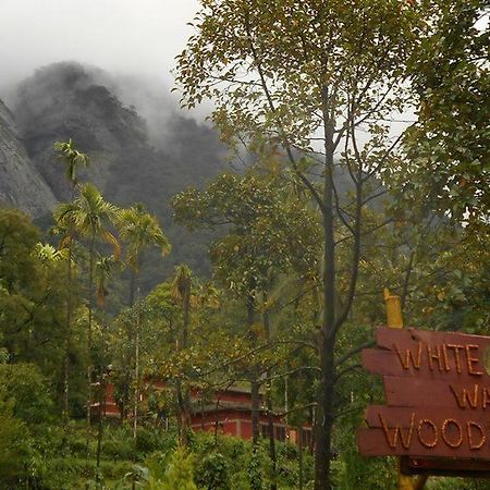 White Water Woods Resort Vythiri Esterno foto
