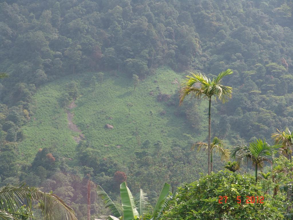 White Water Woods Resort Vythiri Esterno foto