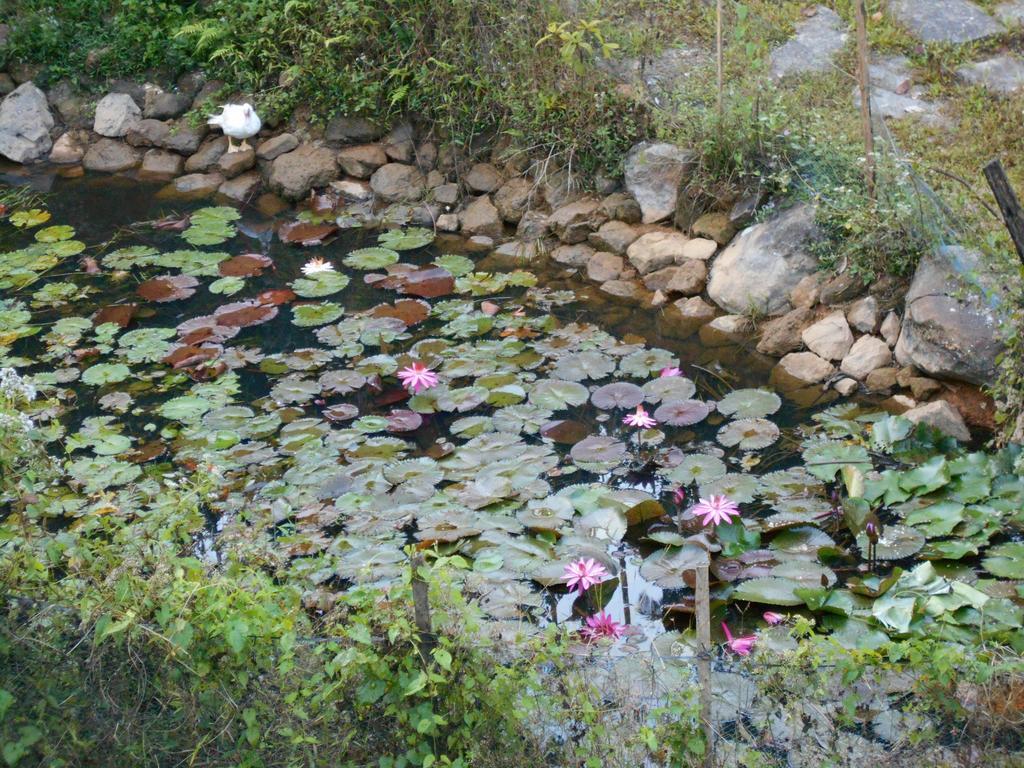 White Water Woods Resort Vythiri Esterno foto