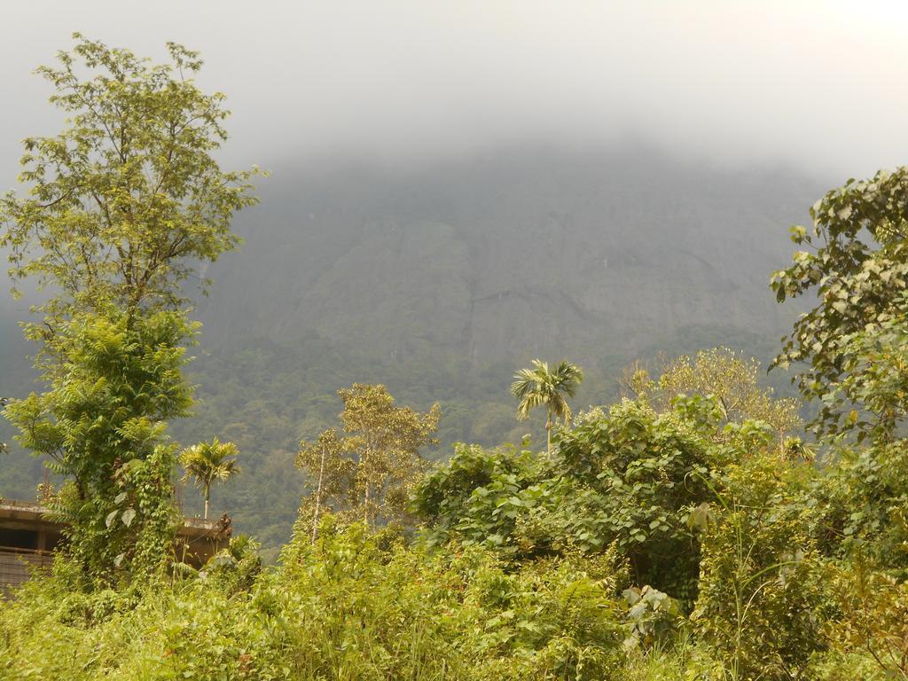 White Water Woods Resort Vythiri Esterno foto