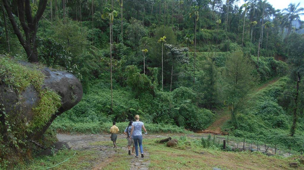 White Water Woods Resort Vythiri Esterno foto