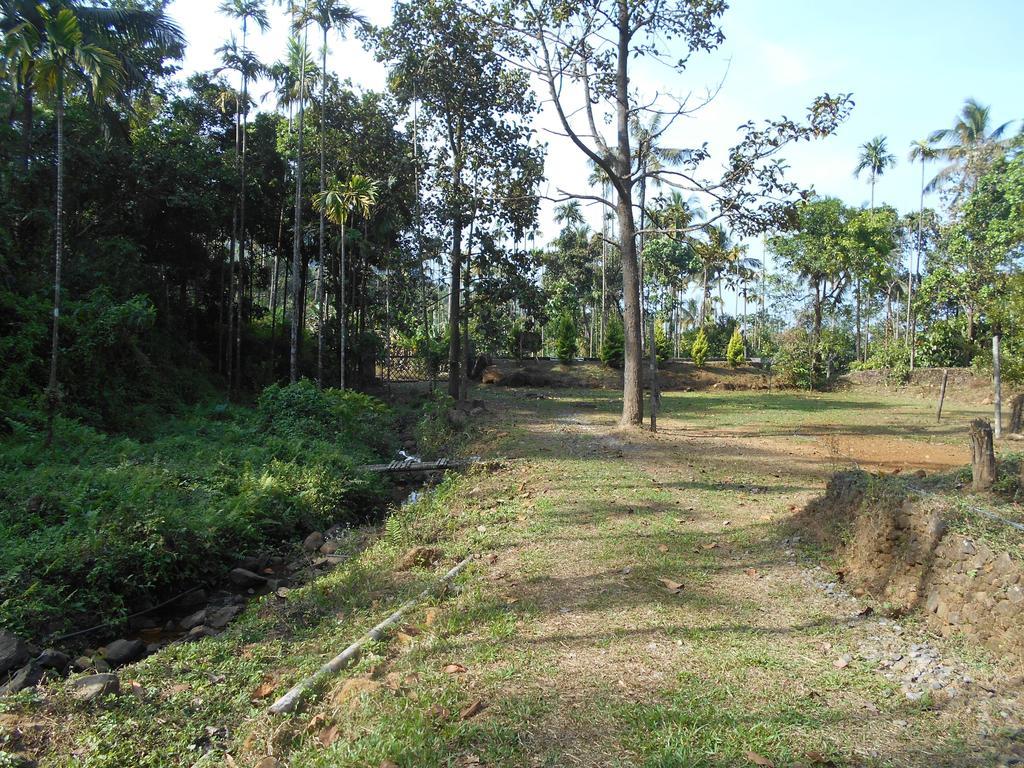 White Water Woods Resort Vythiri Esterno foto