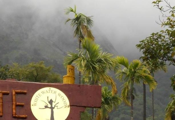 White Water Woods Resort Vythiri Esterno foto